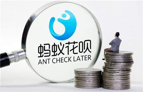 如何查询鼎和财险客服电话？
