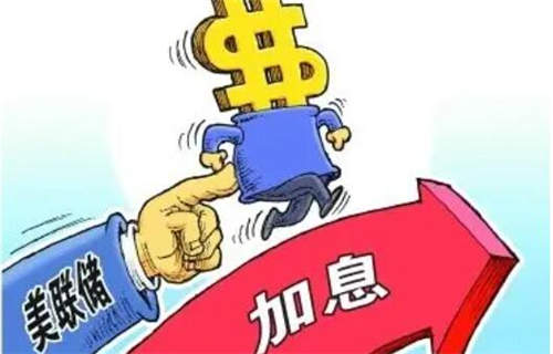 指数基金排名哪些位列前茅？哪些表现靠后？