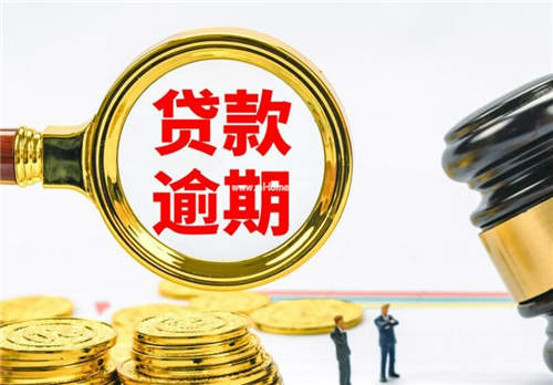 公司盈利怎么查？怎么查询公司的盈利情况